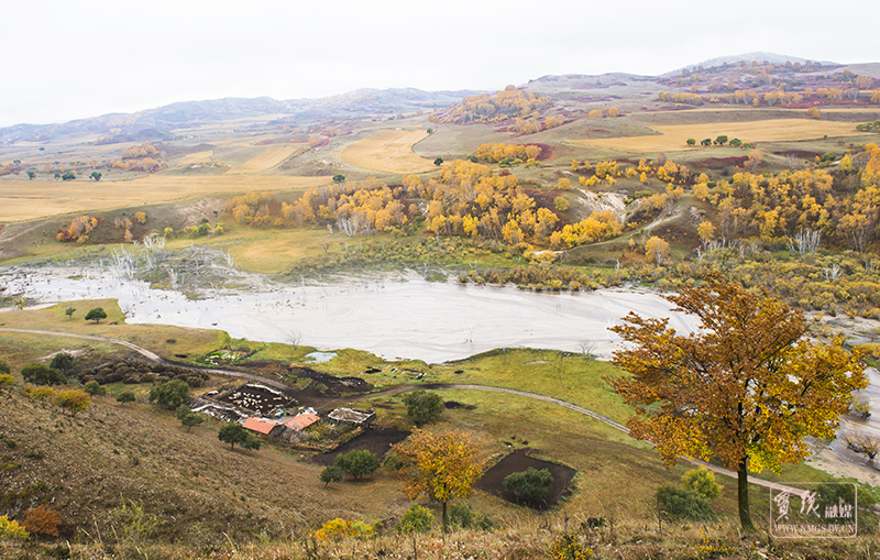 郝应敏-坝上秋景-13847125902