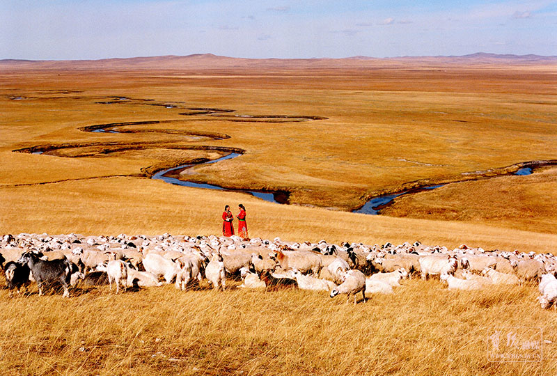 轮牧创丰收-高雪峰