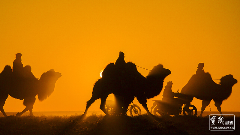 草原暮色 拍摄于乌拉特后旗 王爱军 15326980185副本