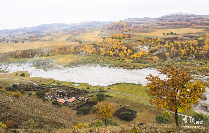 郝应敏-坝上秋景-13847125902