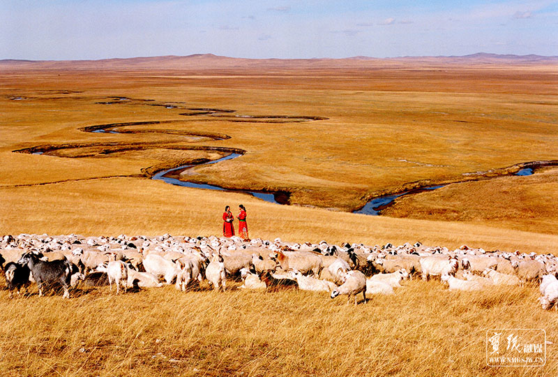 轮牧创丰收-高雪峰