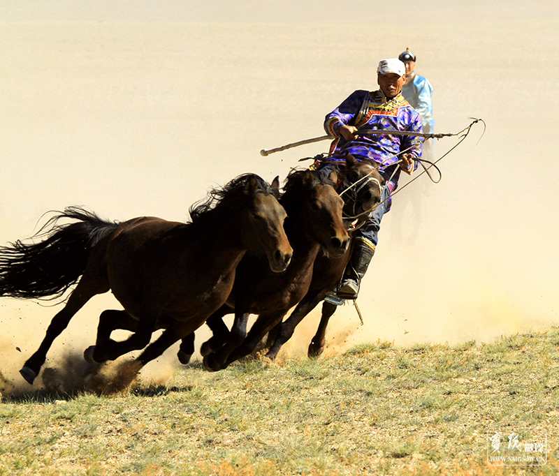 骑士（任清璧摄）18547182350（2014年鉴选片）
