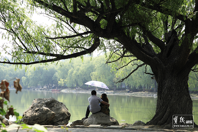 《相依相恋》-青城公园-哈日库摄--电话：15904813393